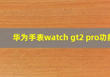 华为手表watch gt2 pro功能